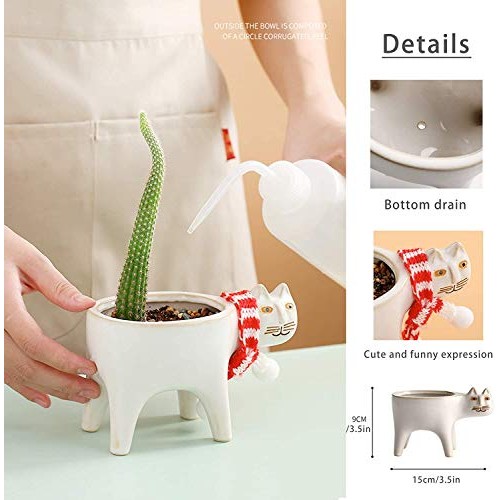Collective Planter Succulent Pots with Drainage - Succulent Plante...