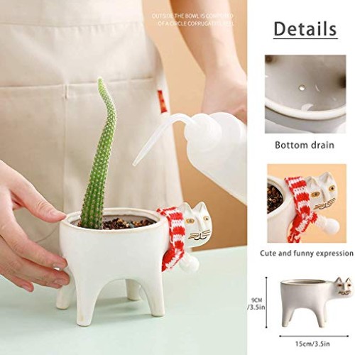 Collective Planter Succulent Pots with Drainage - Succulent Plante...