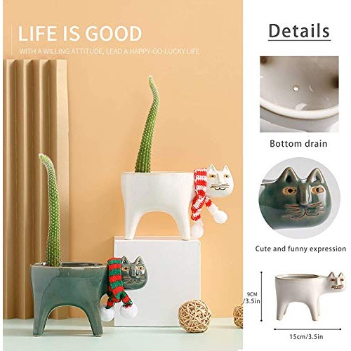 Collective Planter Succulent Pots with Drainage - Succulent Plante...