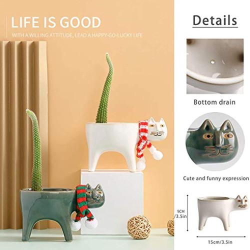 Collective Planter Succulent Pots with Drainage - Succulent Plante...