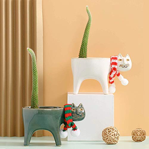 Collective Planter Succulent Pots with Drainage - Succulent Plante...