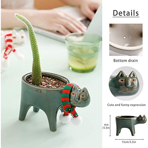 Collective Planter Succulent Pots with Drainage - Succulent Plante...