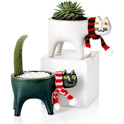 Collective Planter Succulent Pots with Drainage - Succulent Plante...