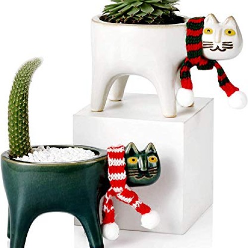 Collective Planter Succulent Pots with Drainage - Succulent Plante...