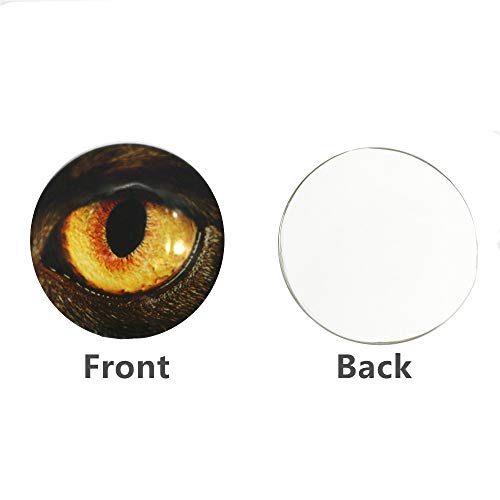 ZHU YU CHUN 20 Pcs Mixed Animals Eye Printed Glass, Round Glass C...