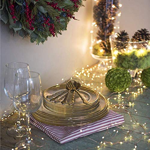 ZNYCYE 2 Pcs 200 LED Waterproof Waterfall Lights - 10 Strand Casca...