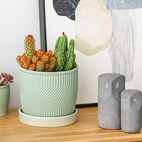 ZONESUM Indoor Plant Pots, Ceramic Pots for Plants, 6 Inch&5.2 Inc...