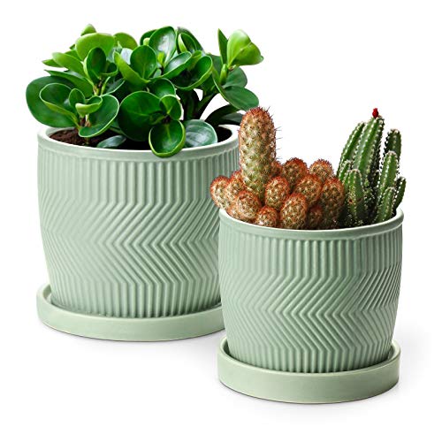 ZONESUM Indoor Plant Pots, Ceramic Pots for Plants, 6 Inch&5.2 Inc...