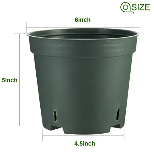 Pots for Plants, ZOUTOG 6 inch Plastic Planters with Drainage Hole...