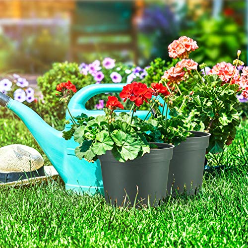 Pots for Plants, ZOUTOG 6 inch Plastic Planters with Drainage Hole...