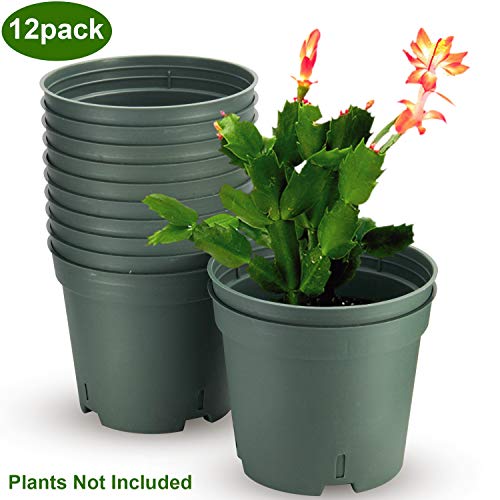 Pots for Plants, ZOUTOG 6 inch Plastic Planters with Drainage Hole...