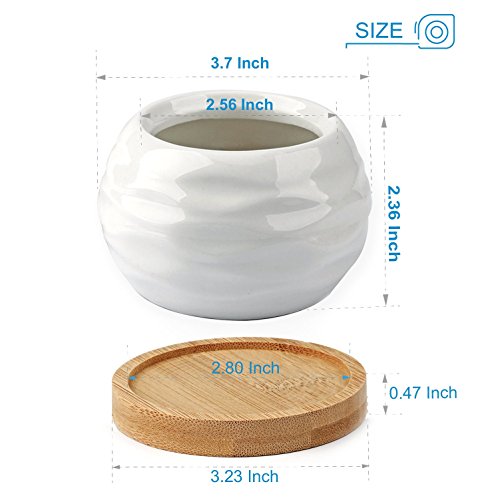 Succulent Planters, ZOUTOG Water Pattern Mini 3.6 inch Ceramic Suc...