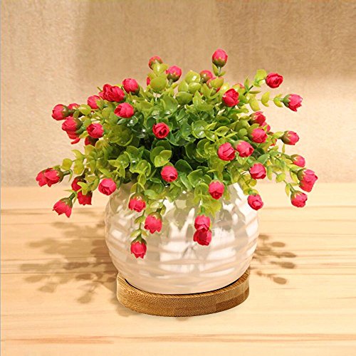 Succulent Planters, ZOUTOG Water Pattern Mini 3.6 inch Ceramic Suc...