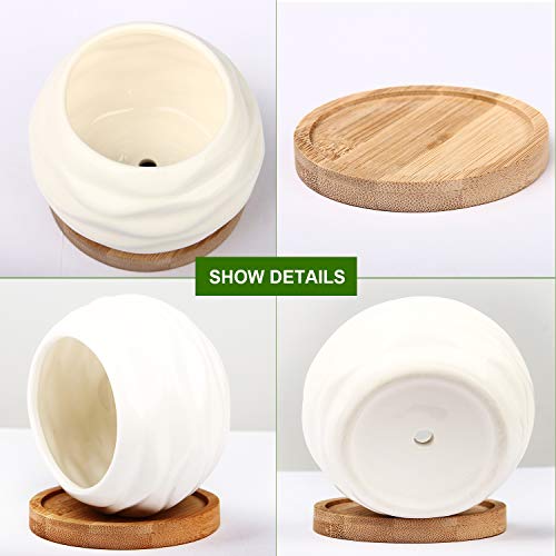 Succulent Planters, ZOUTOG Water Pattern Mini 3.6 inch Ceramic Suc...