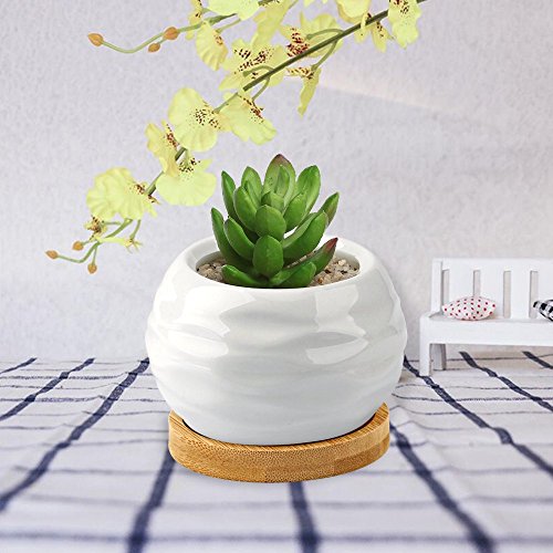 Succulent Planters, ZOUTOG Water Pattern Mini 3.6 inch Ceramic Suc...