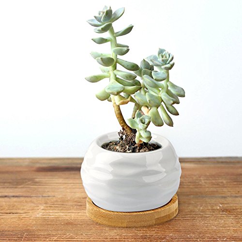 Succulent Planters, ZOUTOG Water Pattern Mini 3.6 inch Ceramic Suc...