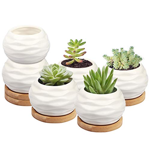 Succulent Planters, ZOUTOG Water Pattern Mini 3.6 inch Ceramic Suc...