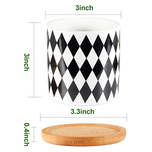Succulent Pots, ZOUTOG 3 inch Ceramic Mini Succulent Planter Pot, ...