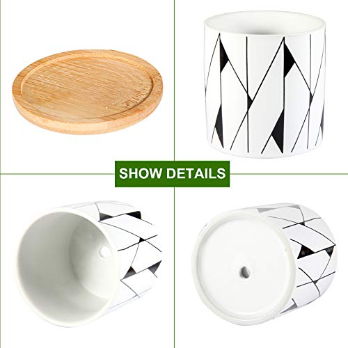 Succulent Pots, ZOUTOG 3 inch Ceramic Mini Succulent Planter Pot, ...