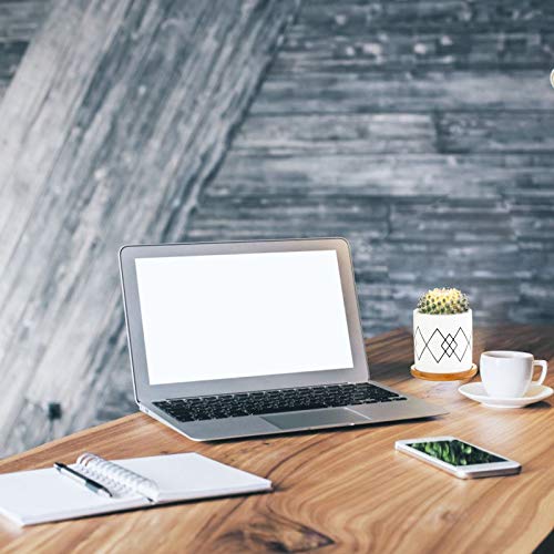 Succulent Pots, ZOUTOG 3 inch Ceramic Mini Succulent Planter Pot, ...