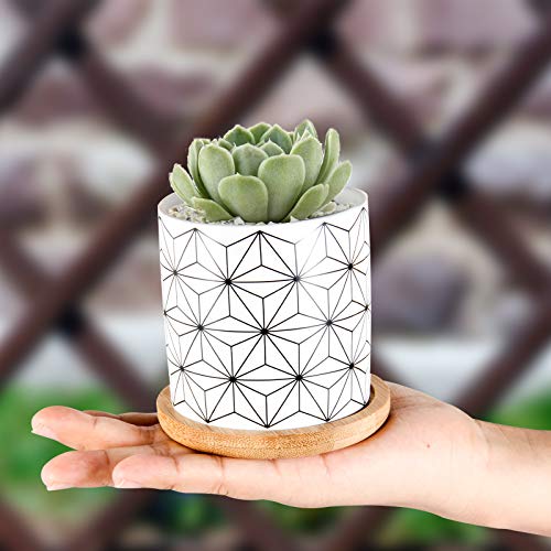 Succulent Pots, ZOUTOG 3 inch Ceramic Mini Succulent Planter Pot, ...