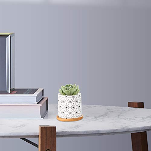 Succulent Pots, ZOUTOG 3 inch Ceramic Mini Succulent Planter Pot, ...