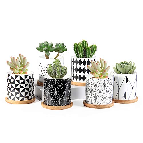 Succulent Pots, ZOUTOG 3 inch Ceramic Mini Succulent Planter Pot, ...