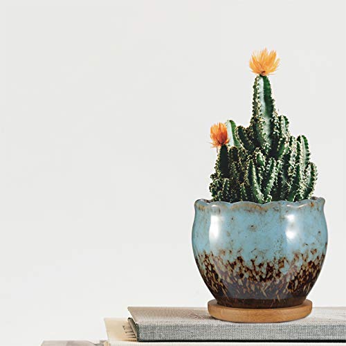 Succulent Pots, ZOUTOG 4 inch Colorful Ceramic Flower Pots, Succul...