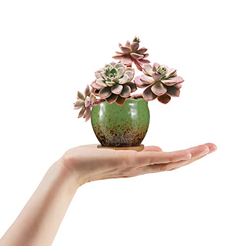 Succulent Pots, ZOUTOG 4 inch Colorful Ceramic Flower Pots, Succul...