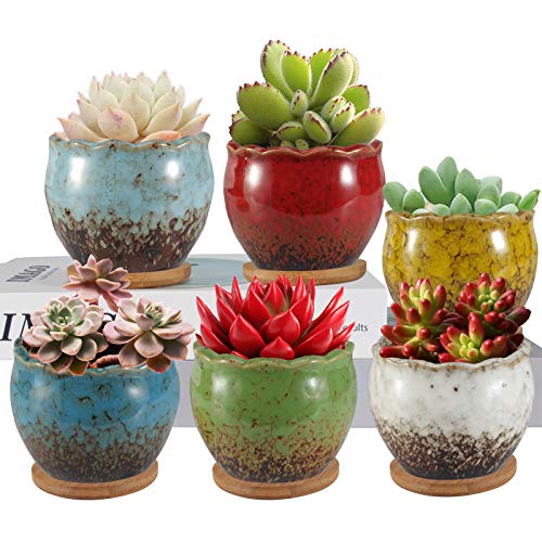 Succulent Pots, ZOUTOG 4 inch Colorful Ceramic Flower Pots, Succul...