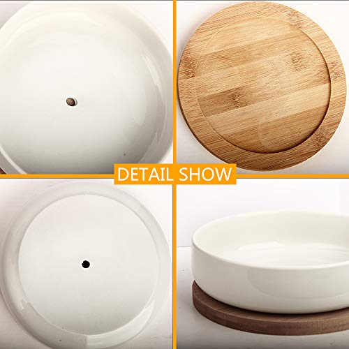 Succulent Pots, ZOUTOG 6 inch White Ceramic Flower Planter Pot wit...