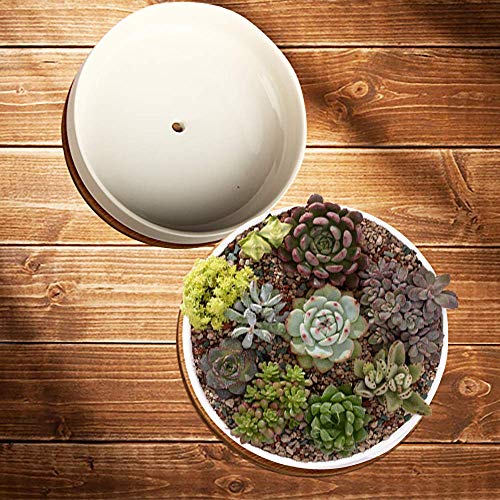 Succulent Pots, ZOUTOG 6 inch White Ceramic Flower Planter Pot wit...