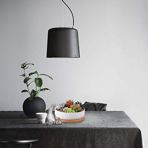 Succulent Pots, ZOUTOG 6 inch White Ceramic Flower Planter Pot wit...