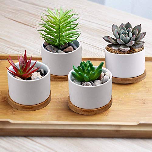 Succulent Pots, ZOUTOG White Mini 3.15 inch Ceramic Flower Planter...