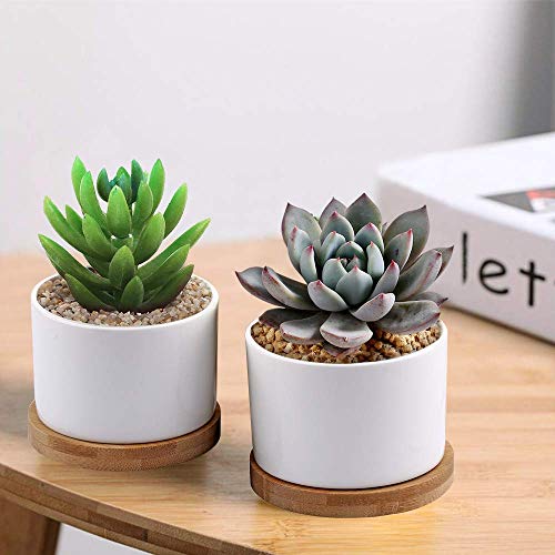 Succulent Pots, ZOUTOG White Mini 3.15 inch Ceramic Flower Planter...