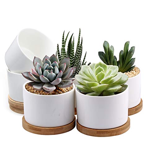 Succulent Pots, ZOUTOG White Mini 3.15 inch Ceramic Flower Planter...