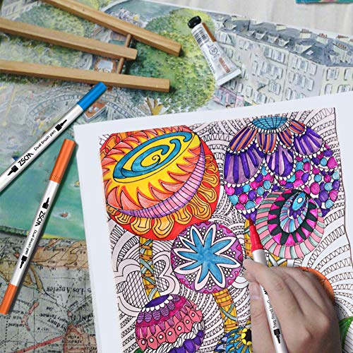 ZSCM 60 Colors Dual Tip Brush Pens Art Markers Set, Fine and Brush...