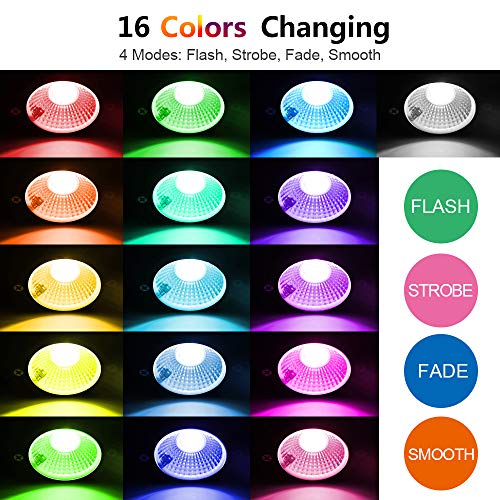 ZUCKEO Landscape Lighting 6W RGB Remote Control LED Landscape Ligh...
