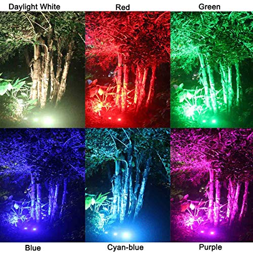 ZUCKEO Landscape Lighting 6W RGB Remote Control LED Landscape Ligh...
