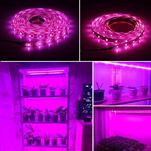 LED Grow Light Full Spectrum USB LED Strip Lights 0.5m 1m 2m 2835 ...