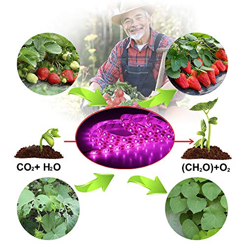 LED Grow Light Full Spectrum USB LED Strip Lights 0.5m 1m 2m 2835 ...