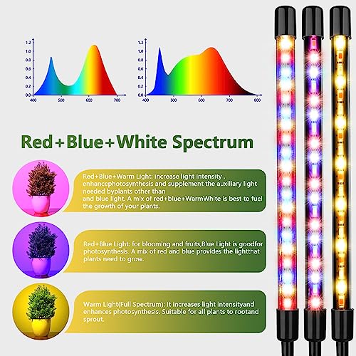 ZXMEAN LED Grow Light, 3 Heads Red Blue White Full Spectrum Plant ...