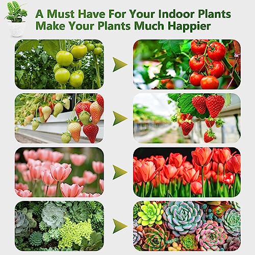 ZXMEAN LED Grow Light, 3 Heads Red Blue White Full Spectrum Plant ...