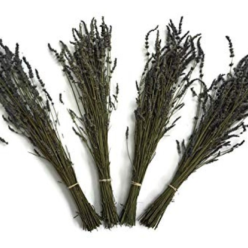 Zziggysgal Dried Lavender Bouquets, 4 per Order, Very Fresh Harves...