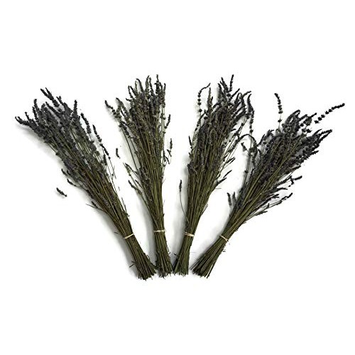 Zziggysgal Dried Lavender Bouquets, 4 per Order, Very Fresh Harves...