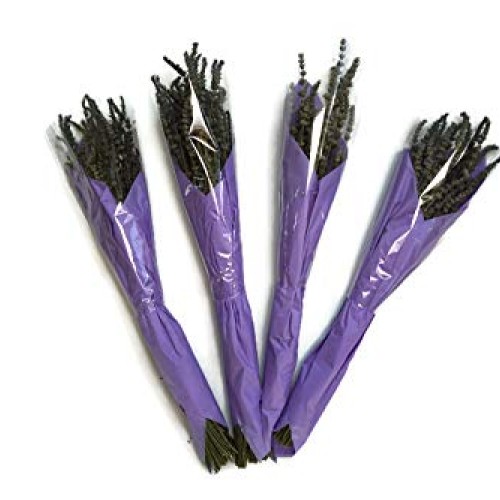 Zziggysgal Dried Lavender Bouquets, 4 per Order, Very Fresh Harves...