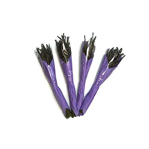 Zziggysgal Dried Lavender Bouquets, 4 per Order, Very Fresh Harves...