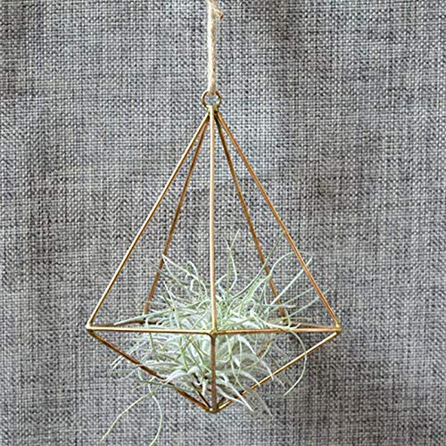 1PC Hanging Air Planters Air Plant Holder,Modern Metal Geometric D...
