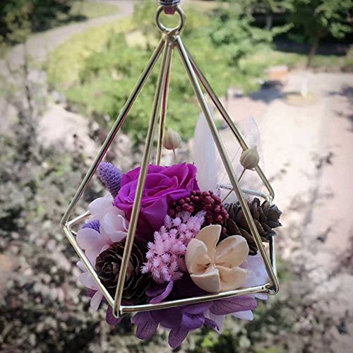 1PC Hanging Air Planters Air Plant Holder,Modern Metal Geometric D...