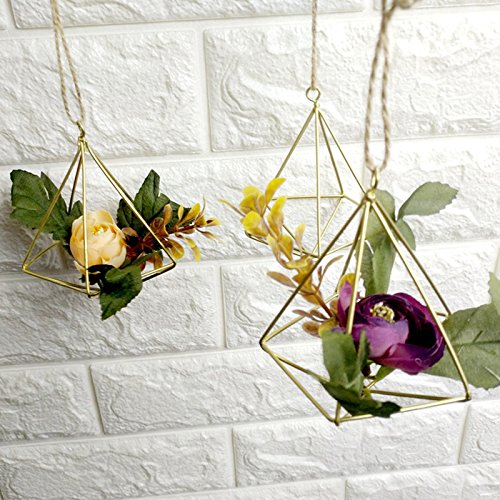 1PC Hanging Air Planters Air Plant Holder,Modern Metal Geometric D...